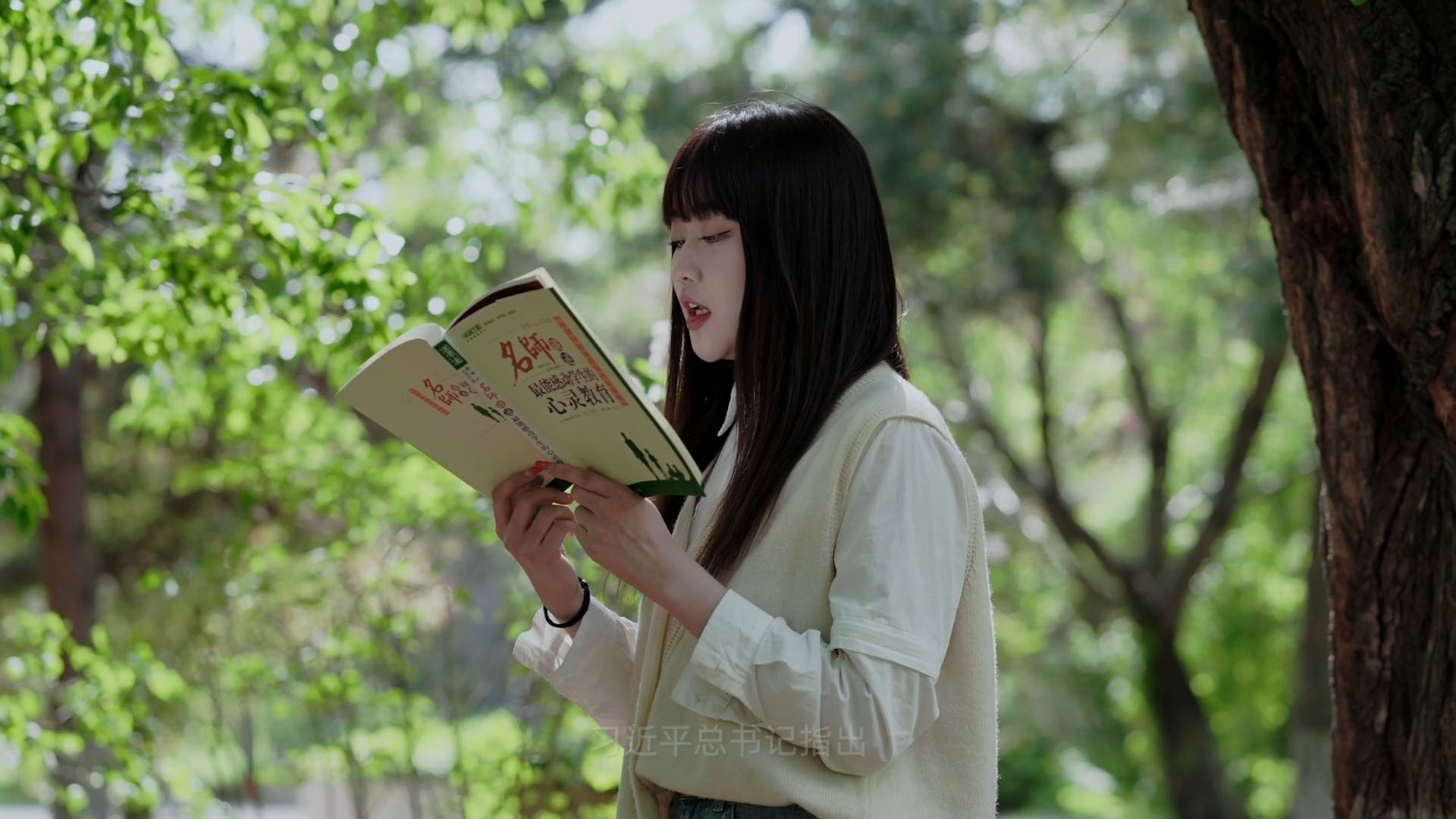 沈阳师范大学